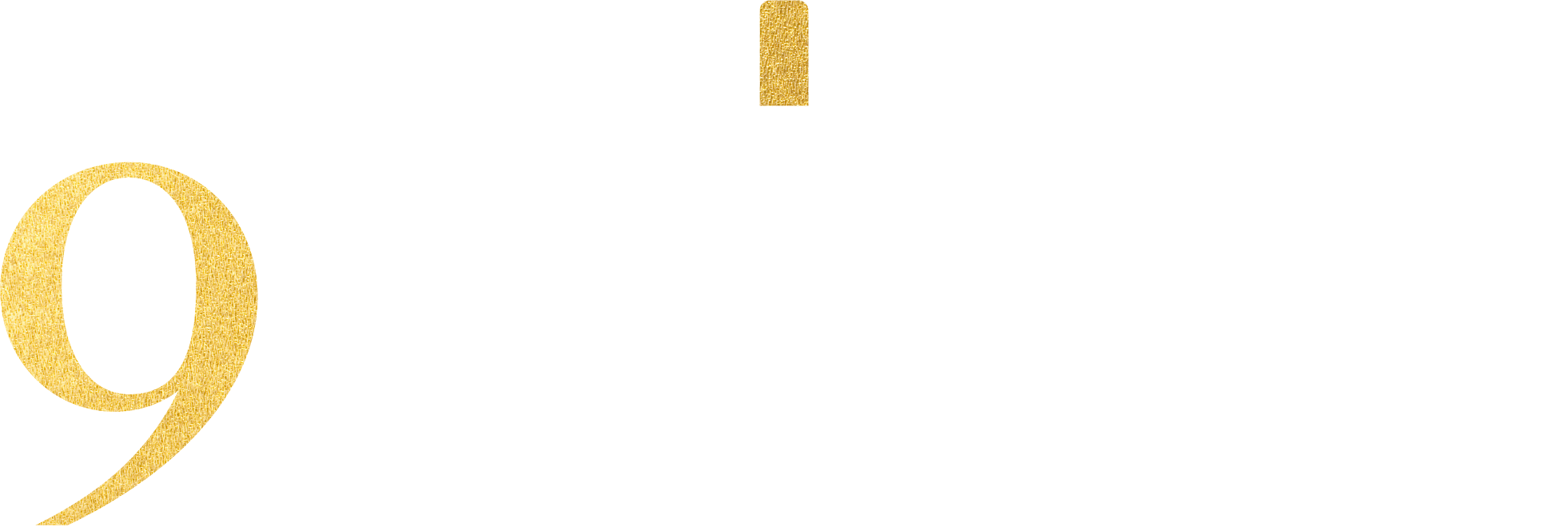 9 Vines wine merchant Hove logo